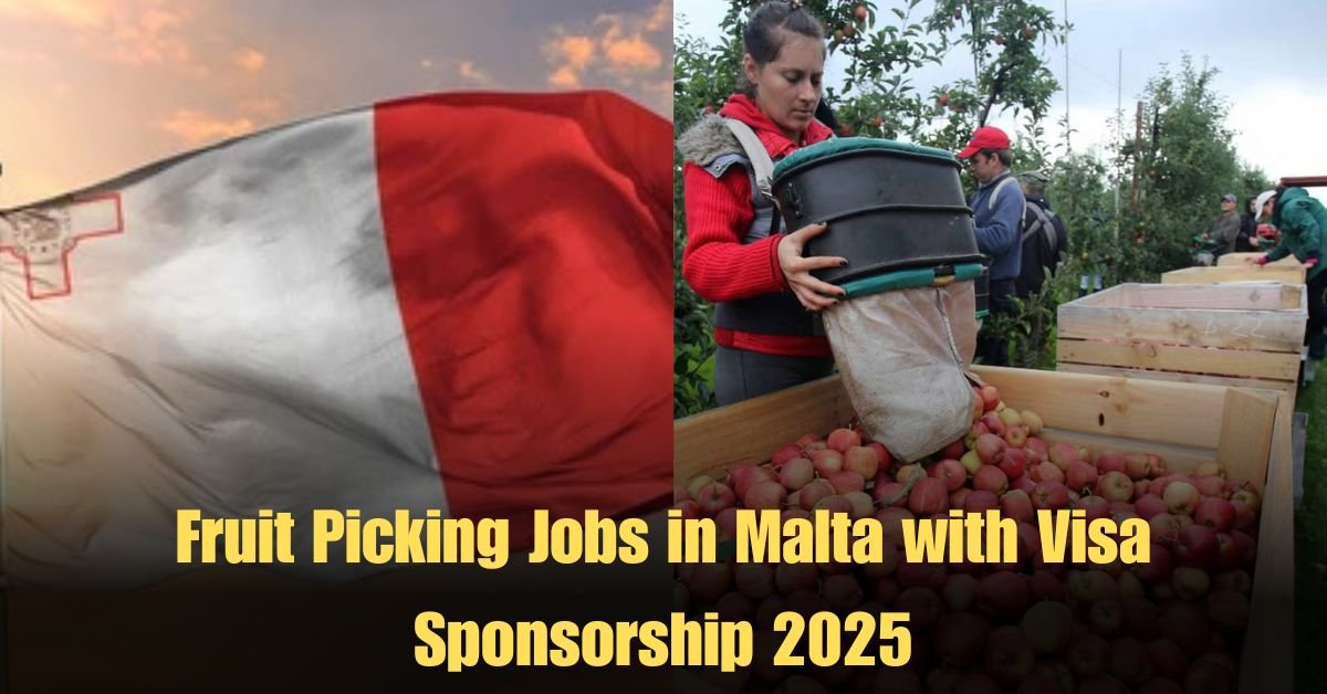 Fruit Picking Jobs in Malta with Visa Sponsorship 2025