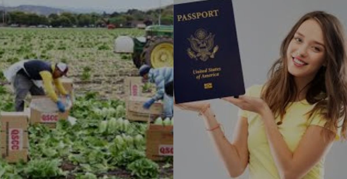 U.S. Farm Labor Opportunities in 2025: A Step-by-Step Guide for Foreign Nationals 500,000+ Positions