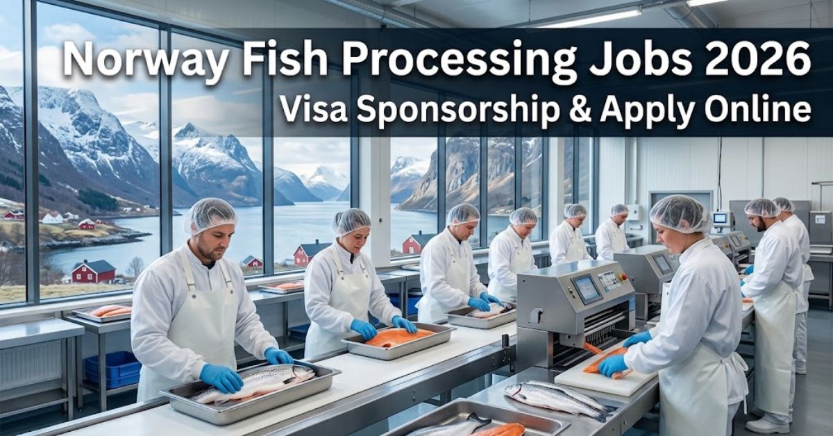 Norway Fish Processing Jobs 2026: Visa Sponsorship & Apply Online